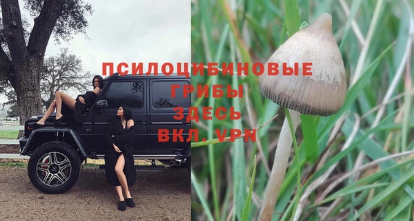 ГАЛЛЮЦИНОГЕННЫЕ ГРИБЫ Армянск