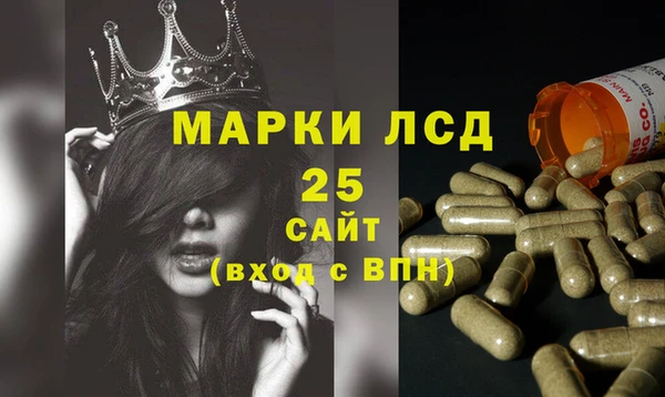 ГАЛЛЮЦИНОГЕННЫЕ ГРИБЫ Армянск